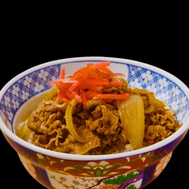 Beef Bowl (Gyudon)